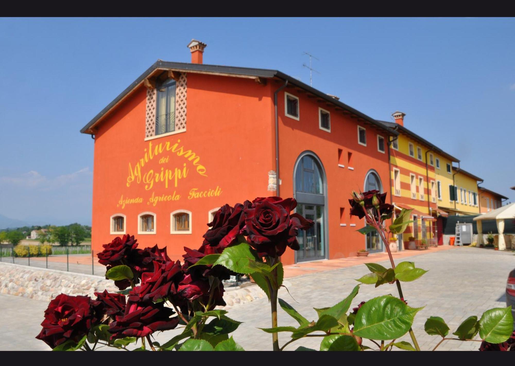 Agriturismo Dei Grippi Sona Exterior photo
