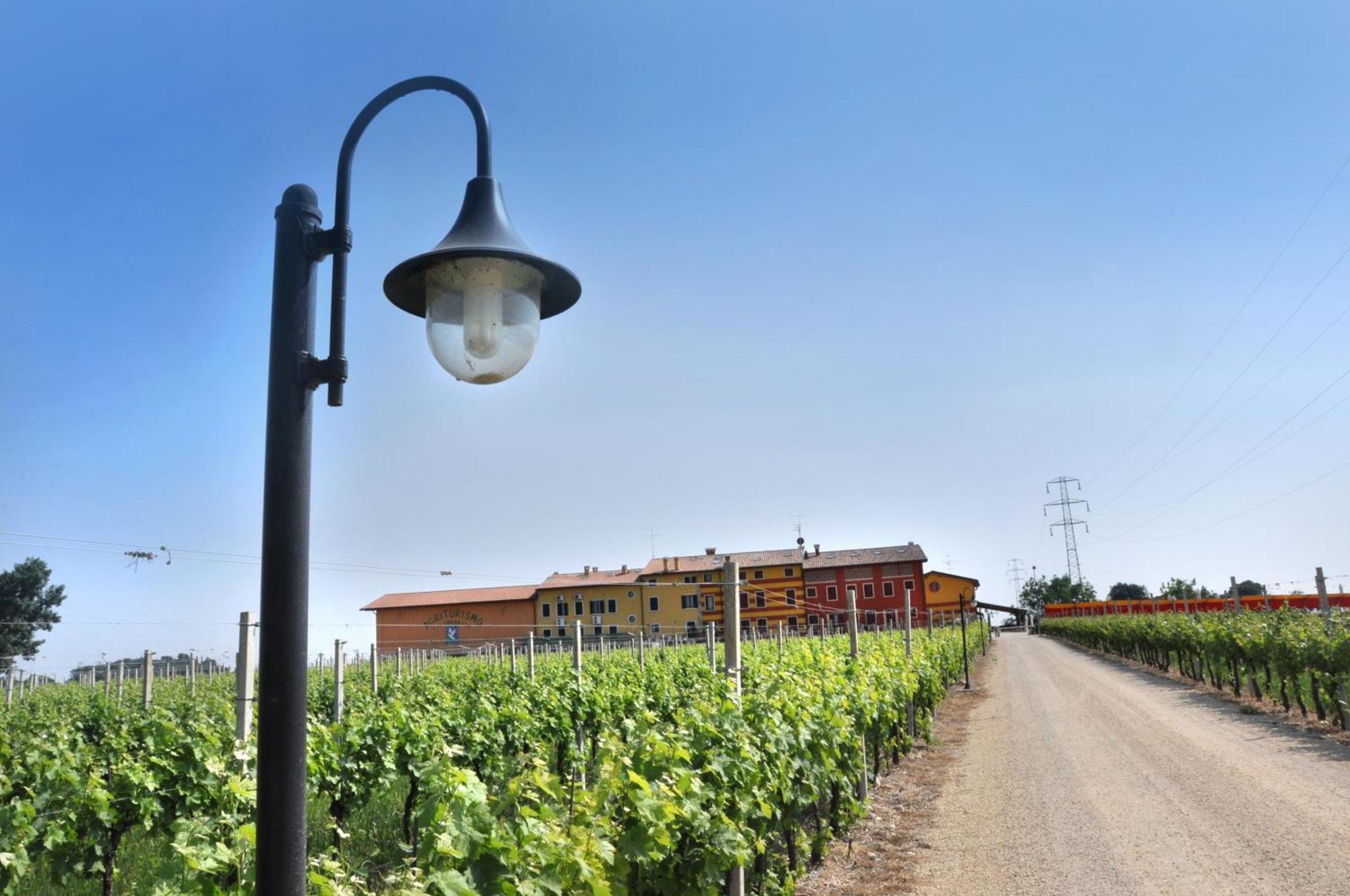 Agriturismo Dei Grippi Sona Exterior photo
